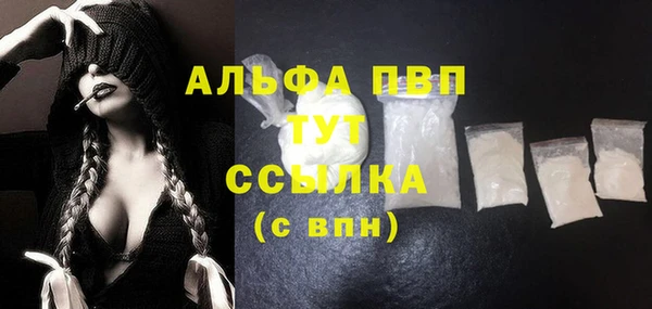 ECSTASY Новозыбков