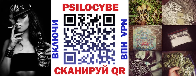 дарнет шоп  Братск  Псилоцибиновые грибы Cubensis 